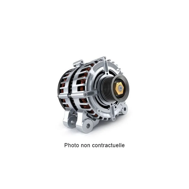 Alternateur pour DENSO 1042102170