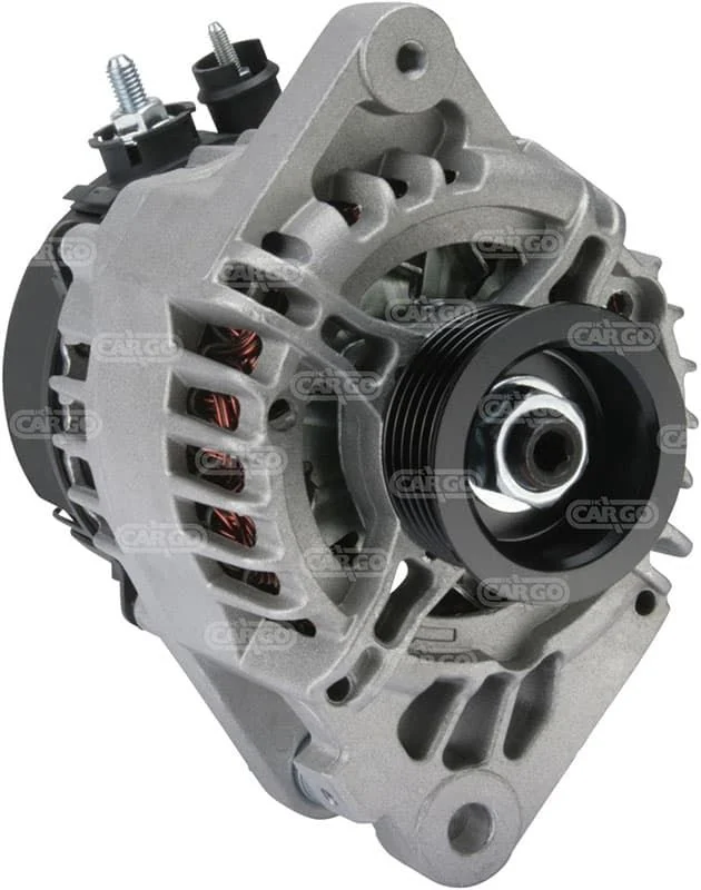 Alternateur pour DENSO 1012101410