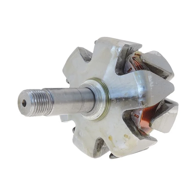 Rotor pour alternateur