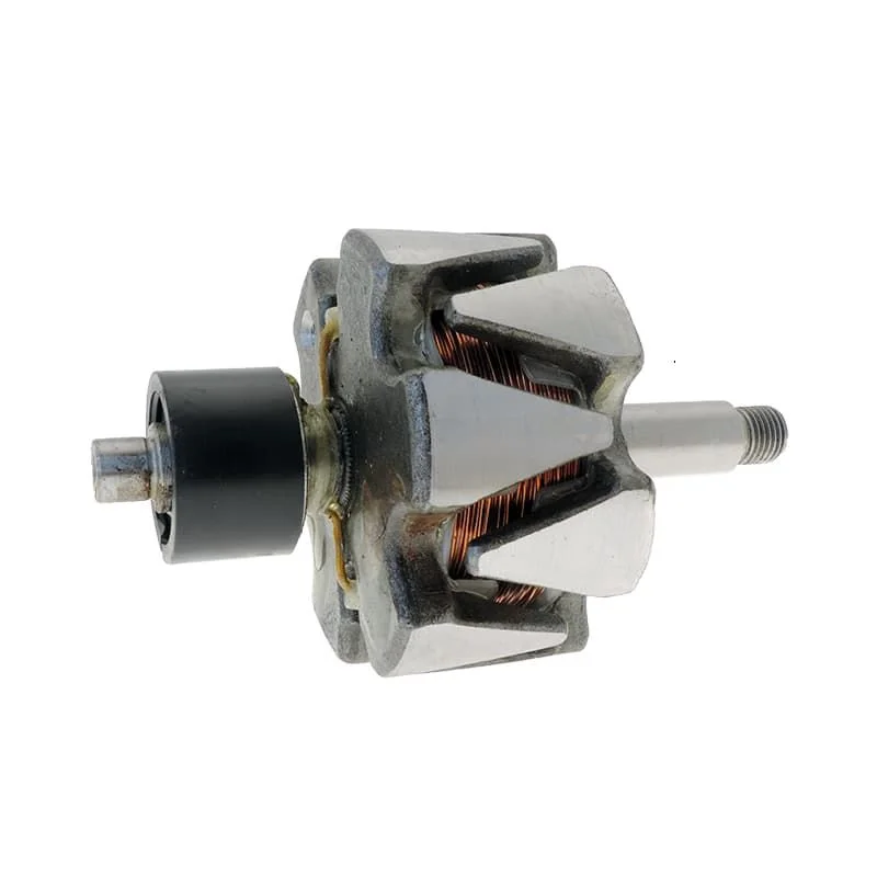 Remplace le rotor d alternateur FIAT