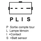 Schema