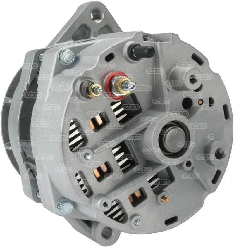 Alternateur pour DELCO REMY 19009950