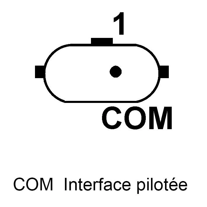 Schema