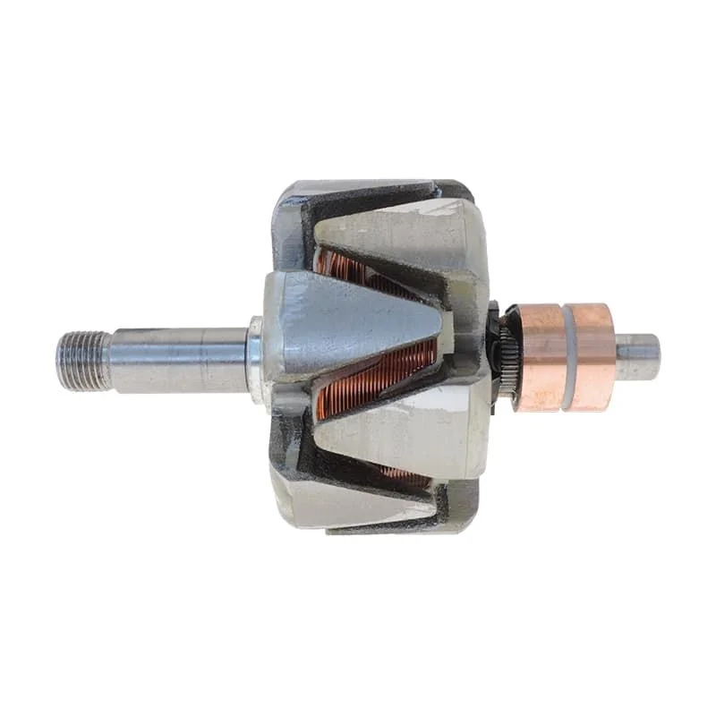 Rotor pour alternateur
