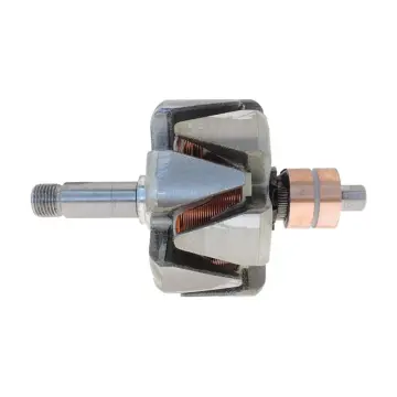 Rotor pour alternateur