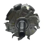 Cao 137523 1