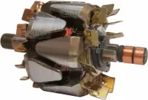 Rotor compatible pour alternateur CARGO 331538