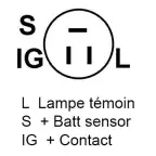 Schema
