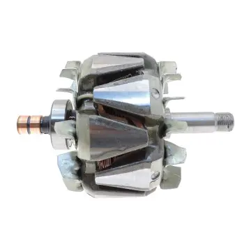 Remplace le rotor d alternateur VOLKSWAGEN 021903213B