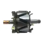 Cao 137523 2